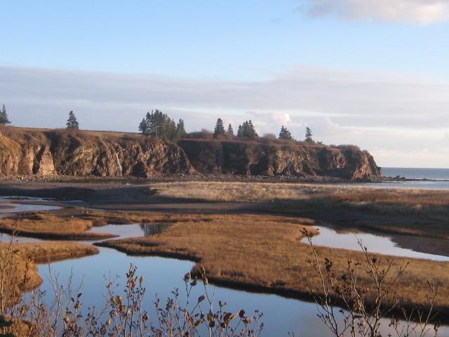 Moore'S Specialties Fundy Bay House Rental Gardner Creek Exterior foto