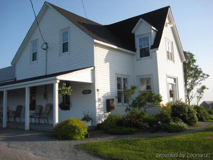 Moore'S Specialties Fundy Bay House Rental Gardner Creek Exterior foto