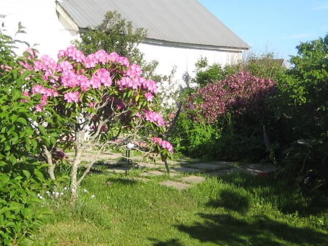 Moore'S Specialties Fundy Bay House Rental Gardner Creek Exterior foto