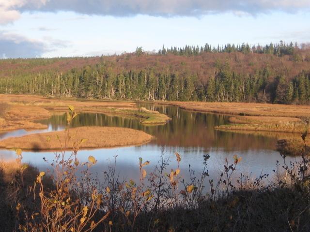 Moore'S Specialties Fundy Bay House Rental Gardner Creek Exterior foto