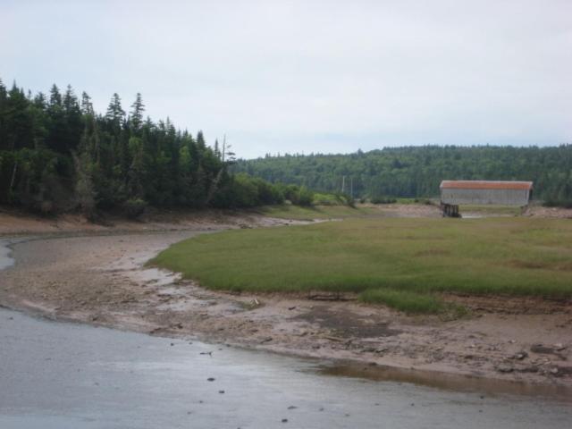 Moore'S Specialties Fundy Bay House Rental Gardner Creek Exterior foto